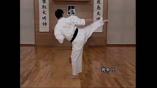 So-Kyokushin Kata - Gekisai Sho 撃砕小