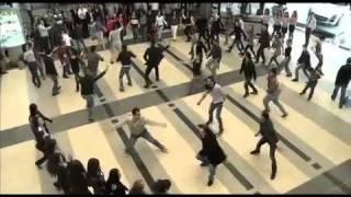 Official version-Dabke Dance in BEIRUT INTERNATIONAL AIRPORT.flv