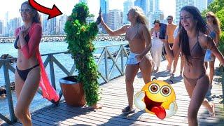 Best of Bushman Prank Compilation #68  Crazy Reactions  Funny Reactions  Bushman Scare Cam