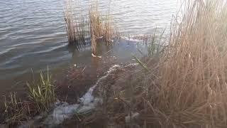 Рыбалка в апреле Херсонская область