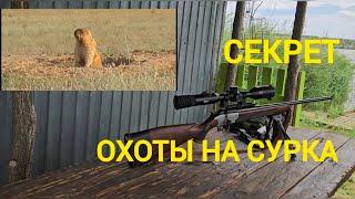 Охота на сурка. Подготовка .От начала до конца. В чём успех.