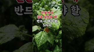 인생에서 길을 잃었을 때 반드시 해야 할 5가지