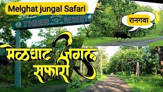 Melghat Tiger Reserve | Melghat Jungle Safari | मेळघाट अभयारण्य |Semadoh To Akot