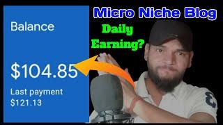 Micro Niche Blog Earning Proof | Micro Blogging 2023 Earning