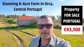 Central Portugal Farm Tour: Stunning 6 Acre Farm FOR SALE in Orca | OKPORTUGAL