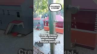Как устроена гостиница для котов