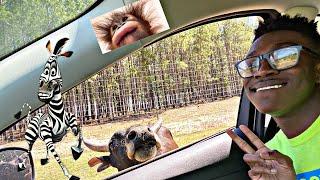 Safari Park 2022!!!