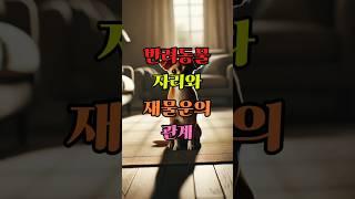 반려동물 자리와 재물운의 관계