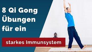 QI GONG Übungen zum Mitmachen | 12 Minuten für das Immunsystem