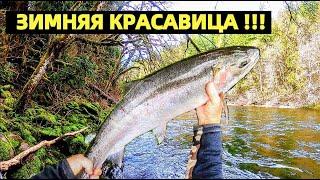 СТАЛЬНАЯ ГОЛОВА - ЧТО ЭТО ЗА РЫБА. РЫБАЛКА НА ЛОСОСЬ В США. WINTER STEELHEAD FISHING.