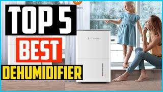 Top 5 Best Dehumidifier in 2024 – Reviews