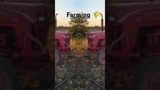 farming  #trending #shorts #farming #tractor video #editing #editor #instagram #trending song #desi