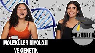 10 SORUDA MOLEKÜLER BİYOLOJİ VE GENETİK