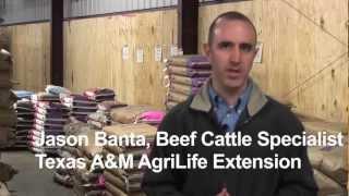 Animal Science: Feeding for Intended Use - AgSmart.tv