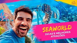 SEAWORLD. Tour completo no parque de Orlando. Valor, dicas e atrações.