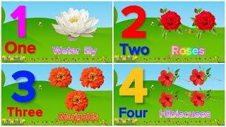 Learn 1 To 10 Numbers & Flower Names | 1 2 3 Number Names | 1 2 3 4 Counting For Kids |