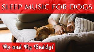 Calming Music for Dogs and Humans to Sleep | Black Screen