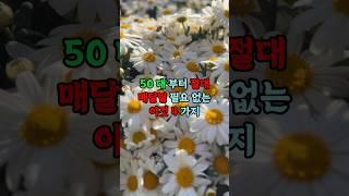 50대 부터 절대 매달릴 필요 없는 이것 4가지 #현실조언 #명언 #삶의지혜 #인생지혜