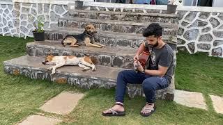 Musical jam for loving dogs in the farm by Soumyadeep