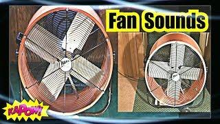 SUPER FAN SOUNDS FOR SLEEPING = Fan White Noise 10 Hours Sleep Fan Noise of 2 Fans