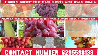 angor plant angor nursery West Bengal chakla grapes  plant nursery