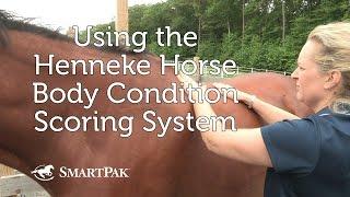 Using the Henneke Horse Body Condition Scoring System