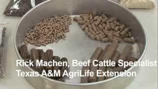 Animal Science: Pelleted Feeds - AgSmart.tv