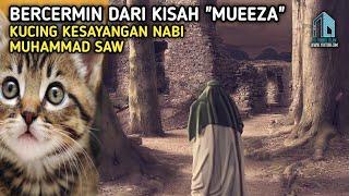 Kisah Muezza Kucing Kesayangan Nabi Muhammad SAW