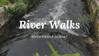 River Walks - River Piddle, Wareham, Dorset