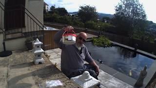 Koi Pond Devon Blanket Weed