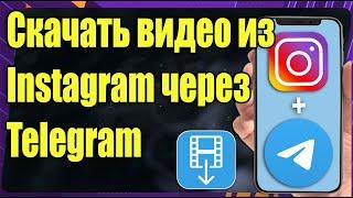 Как скачать видео из Instagram Reels в Telegram