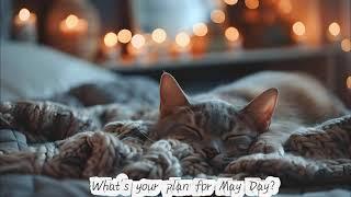 What's your plan for the May Day? No? Come with us