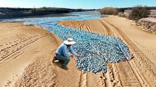 Momentos en la Naturaleza Que Ocurren una Vez Entre Mil Millones