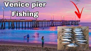 Venice fishing pier mackerel and Bonita fishing catch and cook (epic bite)