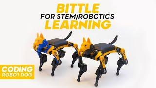 Bittle Coding Robot Dog | Elevate Learning with STEM & Robotics Fun | PetoiCamp