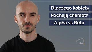 Dlaczego Kobiety Kochają Chamów. Alpha Vs Beta // [Masterclass 2z3]