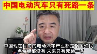 翟山鹰：中国电动汽车未来只有死路一条丨比亚迪丨特斯拉