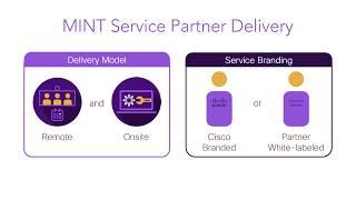 Xentaurs and Cisco MINT Explained