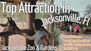 Jacksonville Zoo & Gardens in Jacksonville, Florida || Popular Family Attraction #florida #animals