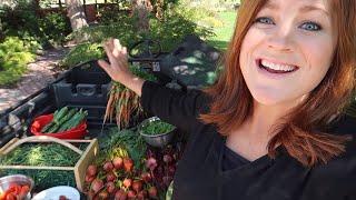 Harvesting Fall Crops! // Garden Answer