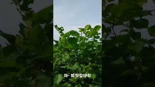 문학산 둘레길 #등산유튜버 #여행 #등산 #주말나들이 #주말데이트 #문학산