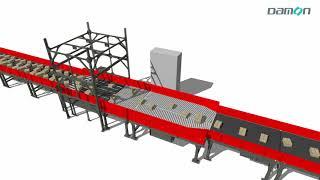 Smart Automatic Singulator | Damon Technology Group