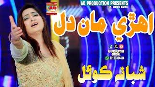 Ehri Dil Kithan Aniyan | Shabana Koyal | New Video Song | AD Production Official