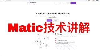 玩转Polygan / Matic 最后一期 matic / polygan 技术分析，项目经济模型 代币模型，从公募到现在，2年暴涨350倍。