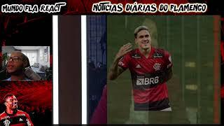 EX ÁRBITRO PERDEU A LINHA E DET0N0U FOI PENALTI CLARO APÓS FLAMENGO 2X1 CRICIUMA