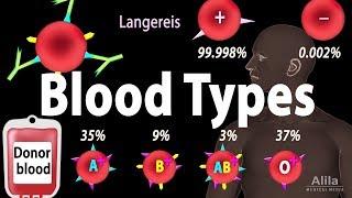 Blood Types, Blood Group Systems and Transfusion Rule, Animation