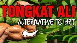 The Holy Grail For ED, Low T, Libido And Infertility || Tongkat Ali (Longjack)