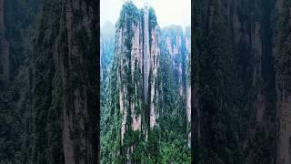 The Growing Popularity of Bailong elevator in Zhangjiajie!