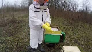 Развитие пчелопакета.Работа№1:Пересадка.