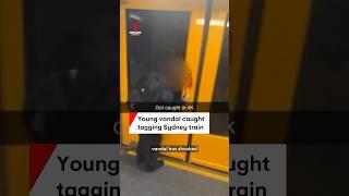 Young vandal caught spraying graffiti on Sydney train